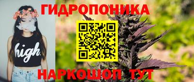 ECSTASY Чапаевск