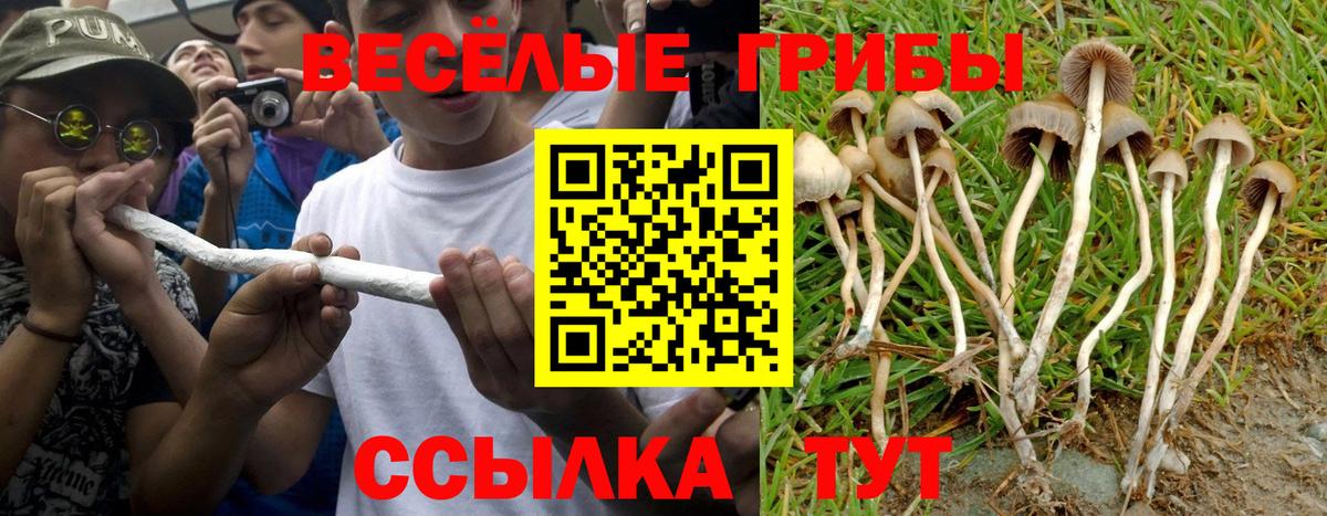 Белая Калитва  Псилоцибиновые грибы MAGIC MUSHROOMS  Вход с VPN 